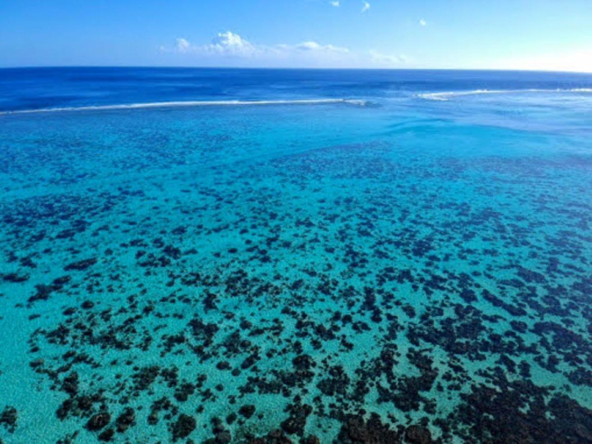 Moorea - Fare Taina Nui Haapiti Εξωτερικό φωτογραφία